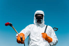 Best Termite Inspection and Treatment  in Turley, OK